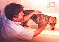 dog bath